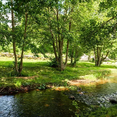 Сasa de vacaciones Violette D'aubrac 3/5 Personnes